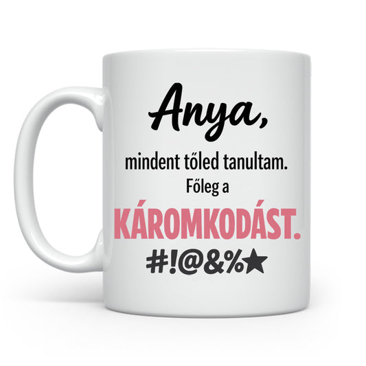 Mindent tőled tanultam