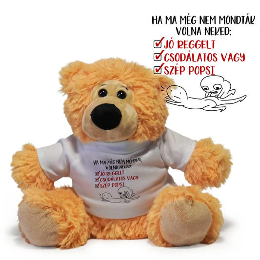 Ha ma még nem mondták - Páromnak plüss maci